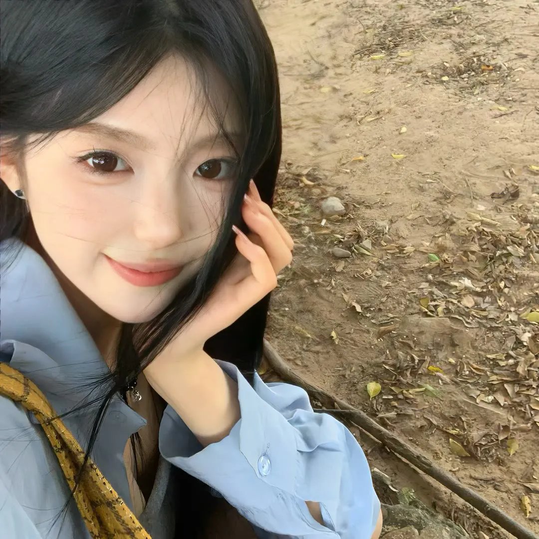 欧栗树